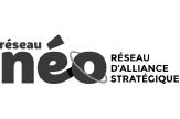 Neo reseaux
