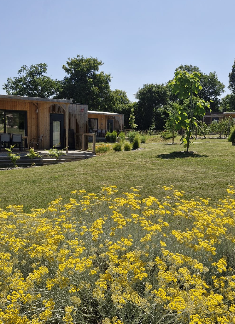 Réunion cohésion Brocéliande team building séminaire piscine Koh Lanta
